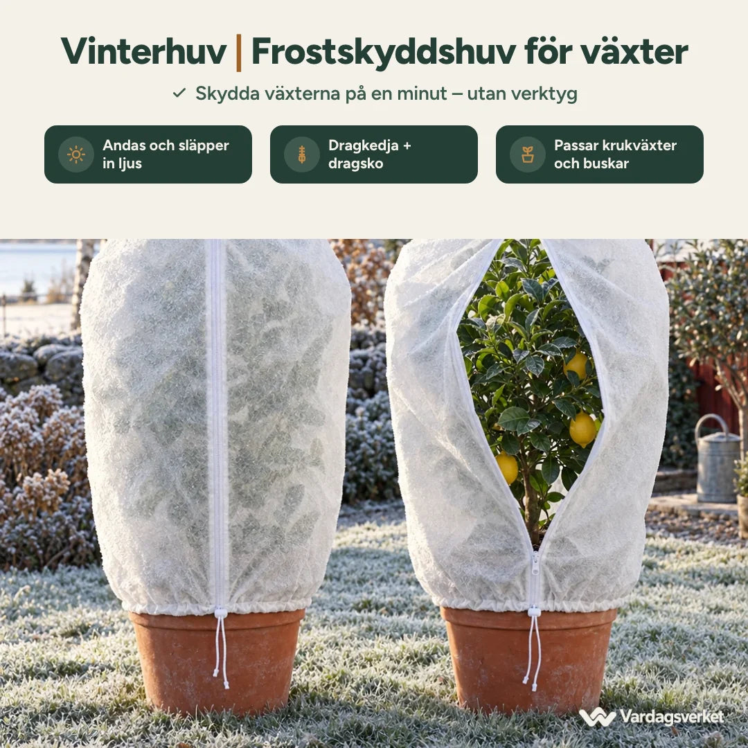 Vinterhuv på två krukor i frostig trädgård – andas, dragkedja och dragsko
