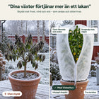 Före och efter: frostskadat citronträd utan skydd och friskt citronträd under Vinterhuv